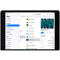 Apple iPad 10.2" 2021 256GB 5G MK4E3 (серый космос) Image #5