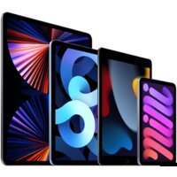 Apple iPad 10.2" 2021 256GB 5G MK4E3 (серый космос) Image #4