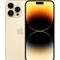 Apple iPhone 14 Pro Max 1TB (золотистый) Image #1