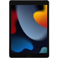 Apple iPad 10.2" 2021 256GB 5G MK4H3 (серебристый) Image #2