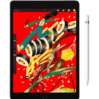 Apple iPad 10.2" 2021 256GB 5G MK4H3 (серебристый) Image #7