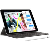 Apple iPad 10.2" 2021 256GB 5G MK4H3 (серебристый) Image #6
