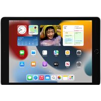 Apple iPad 10.2" 2021 256GB 5G MK4H3 (серебристый) Image #9